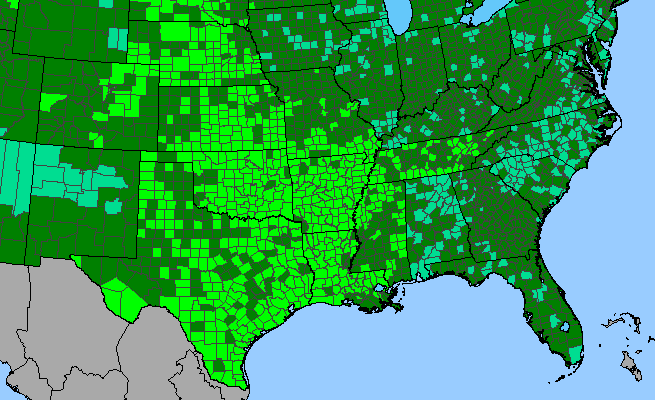 The range of Coreopsis tinctoria